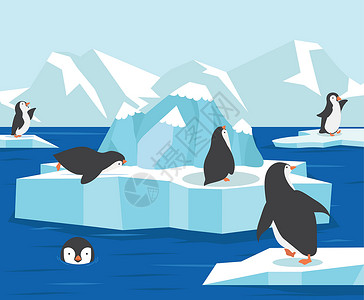 皇帝的新装北极南极洲 有企鹅家庭背景的设计图片