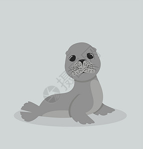 海豹毛皮可爱的海狮漫画矢量插画