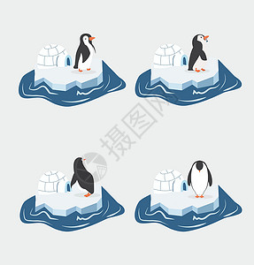 冰山上哈士奇一块冰山上可爱的企鹅插画