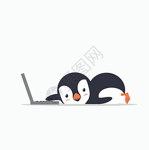 带笔记本电脑的有趣的企鹅背景图片