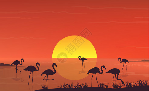 吉亚恰托湖在湖景日落景观的火烈鸟剪影 韦克托插画