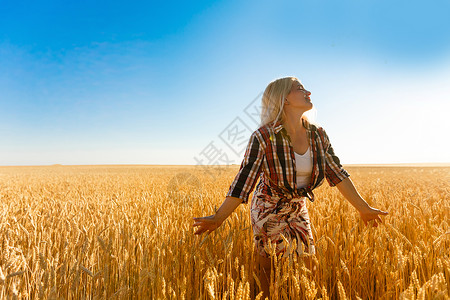一个女孩在小麦口袋里 白人女人在外面摆着小燕子农业太阳享受地平线成人粮食场地日落极乐薪水背景图片