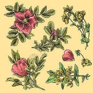 手绘花风格花园卡片叶子繁荣植物手绘花装饰绘画墙纸背景图片