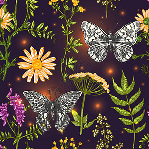 纺织品的波西米亚风格印花绘画草图蝴蝶植物野花框架装饰花园手绘花卡片背景图片