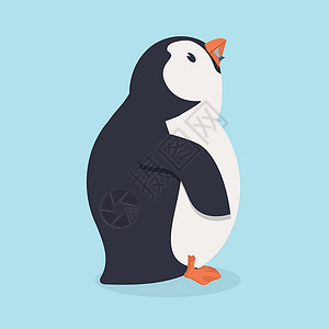 手绘企鹅吃鱼的企鹅鸟设计图片