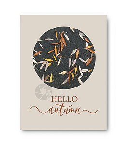 白杨素你好秋天刻字与手绘不同颜色的秋叶 素描设计元素设计图片