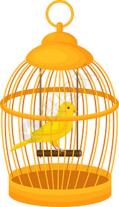 闭孔长笛一只明亮的黄金丝雀坐在一个闭着的金笼中的木孔中 白色背景上的矢量插图被孤立插画