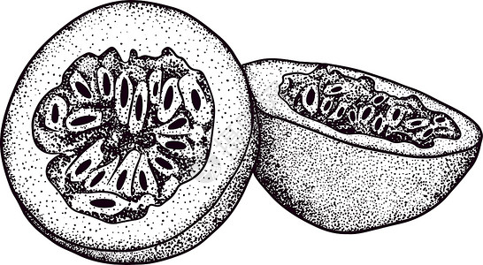 矢量手绘套西番莲果 百香果插图 美味的热带素食对象 用于餐厅 菜单 冰沙碗 市场 商店 派对装饰 餐点草图食物绘画叶子异国收藏紫插画