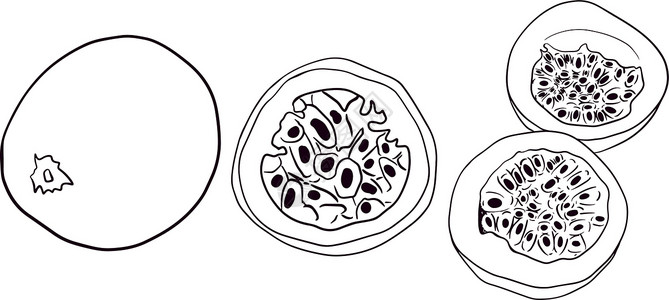 百香果蛋糕绘画一组激情果实的矢量手 热情果子插图 美味热带素食物品 彩色页面收藏水果情调标签紫色食物异国菜单草图蚀刻插画