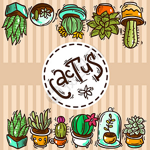 活性印染cacti 和succulents 非活性植物群艺术纺织品卡通片花园涂鸦插图植物学沙漠装饰品插画