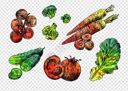 番茄叶美丽的手画图画的蔬菜茄子生态烹饪绘画插图草图营养厨房涂鸦沙拉设计图片