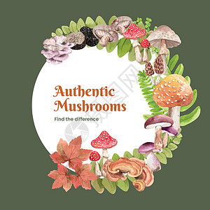 豉油鹅含蘑菇和森林植物概念 水彩色风格的防洪模板季节广告饮食植物群食物插图营销婚礼菌类水彩插画