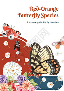 带有红和橙蝴蝶概念的海报模板 水彩色风格红色昆虫动物装饰品叶子树叶花园装饰插图水彩背景图片