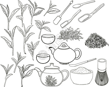 茶中素材图形样式中的茶叶收集元素 手绘矢量图解杯子收藏茶壶叶子手工仪式菜单食物香气草本植物插画