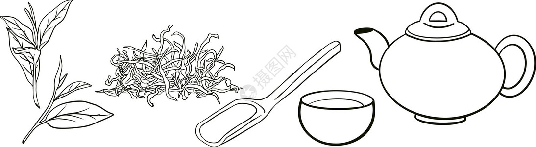 茶壶和杯子图形样式中的茶叶收集元素 手绘矢量图解 彩色页面叶子手工杯子菜单植物食物草本植物树叶玻璃茶壶插画