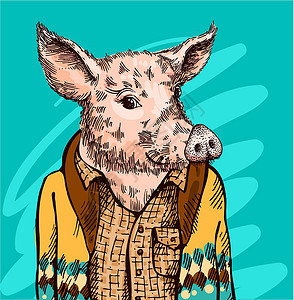 手画的矢量插图猪草图 新年2019年的标志猪肉哺乳动物手绘食物铅笔熏肉套衫鼻子古董标签背景图片