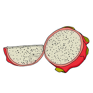 火龙果片矢量手绘制了一套皮加亚 龙果插图 美味的热带素食物品植物异国甜点手绘涂鸦情调饮食水果菜单食物插画