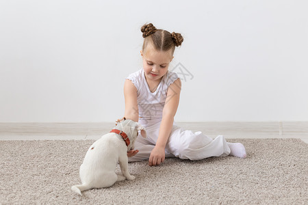 儿童与动物概念     坐在地板上喂养小狗的女童乐趣地面白色犬类友谊零食宠物黑发猎犬灰色背景图片