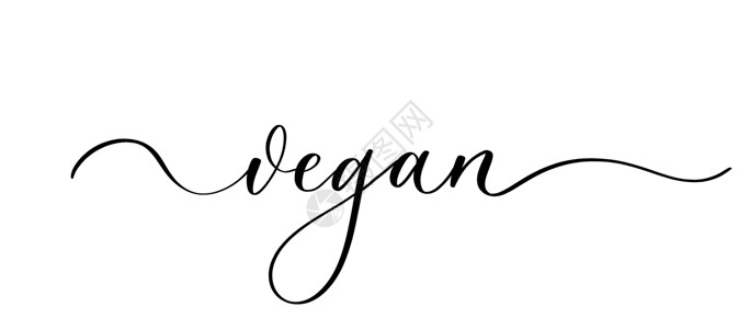 扎带束线Vegen  带平滑线的矢量书写符号生态明信片卡片刻字问候语义者书法食物字体标识插画