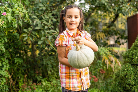 寿星抱葫芦在户外玩耍 可爱可爱的小女孩 抱着南瓜青年闲暇花园乐趣食物感恩幸福孩子橙子童年背景