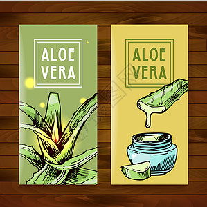 维拉亚特Aloe vera草图矢量插图 手画风格绘画叶子墨水植物学果汁药品植物皮肤科艺术草本植物插画