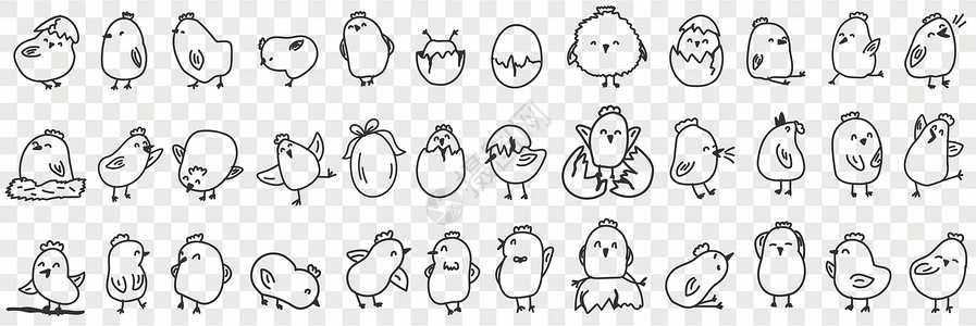 小鸡炖土豆小小鸡在农场的涂鸦套餐上艺术手绘宠物孩子们孵化插图母鸡农业绘画草图插画