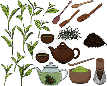 日本茶茶叶收藏的彩色元素在图形样式 手绘矢量图解中茶壶草图菜单食物叶子香气咖啡店仪式杯子树叶插画