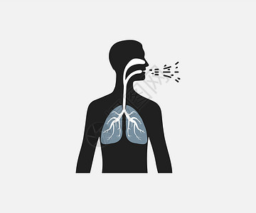 人呼吸肺部人身影 矢量插图 平面设计膀胱科学器官冒号甲状腺身体艺术数字支气管呼吸插画