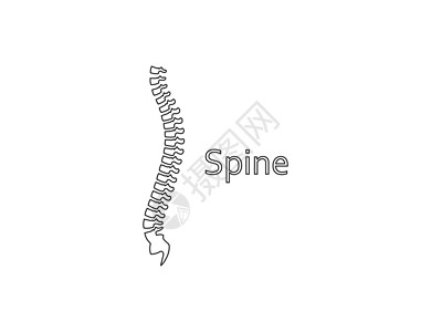 脊椎素材人类脊椎 解剖学 主干图标 矢量插图绘画骨干科学标签骨科骨骼药品医院椎骨骨头插画