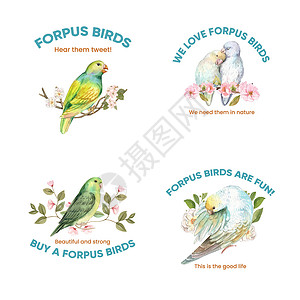 Logo广告带有forpus鸟类概念 水彩风格的Logo设计推广动物广告婴儿插图宠物营销小狗鹦鹉羽毛插画