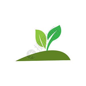 生态树叶叶环境插图生长绿色叶子生物标识植物商业模板背景图片