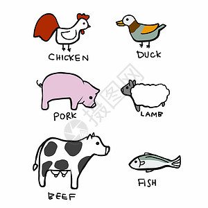 动物肉肉类卡通漫画盒矢量插图背景图片