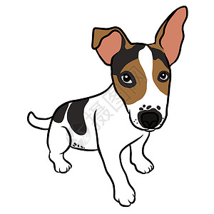 狗肖像卡通漫画矢量插图猎犬宠物小狗动物头脑卡通片背景图片