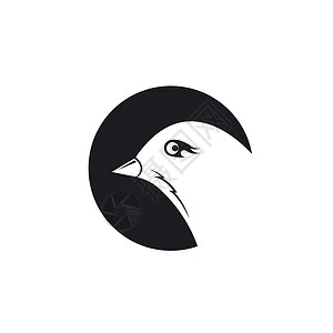加瓦鸟鸟图标矢量说明概念设计大肠杆菌艺术荒野异国绘画翅膀野生动物插图情调蜂鸟插画