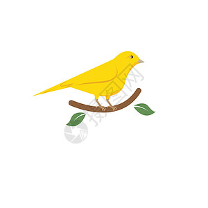 加瓦鸟鸟图标矢量说明概念设计插图绘画情调大肠杆菌宠物鸟类标识卡通片动物艺术插画