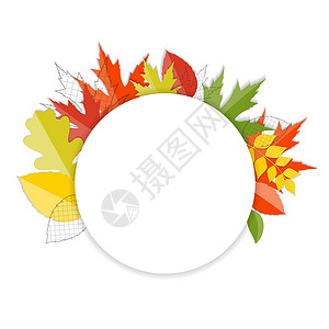 闪亮的秋天自然树叶背景 它制作图案矢量框架艺术季节活动亮度魔法橙子感恩植物金子背景图片