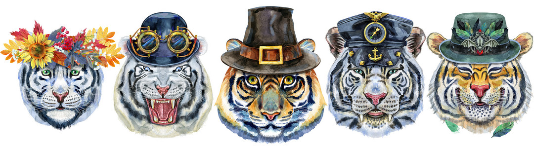 老虎帽子带有各种附件的老虎边框 野生动物水彩画白底背景图示背景