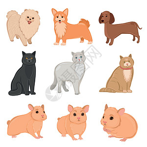 养成现实的宠物猫 狗和仓鼠     矢量雕刻朋友收藏打印小猫绘画卡通片小狗动物毛皮插画