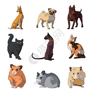 养成现实的宠物猫 狗和仓鼠     矢量艺术朋友绘画收藏动物毛皮草图小狗小猫哺乳动物插画