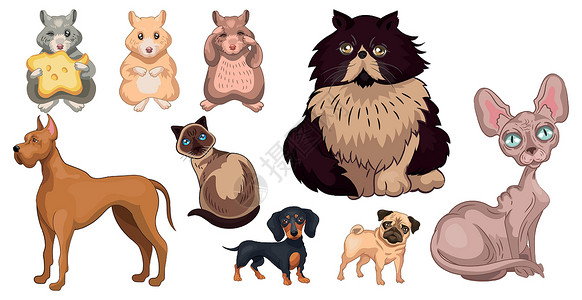 养成现实的宠物猫 狗和仓鼠     矢量哺乳动物艺术插图朋友小狗收藏犬类打印绘画雕刻插画