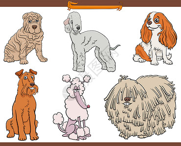 贝灵顿卡通 纯种狗漫画动物字符组插画