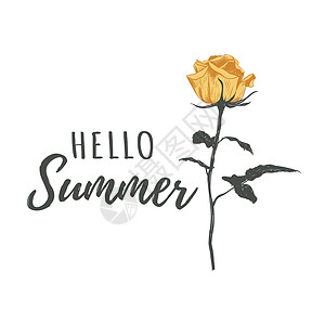 玫瑰黄玫瑰你好 夏季书法文字矢量插图设计图片