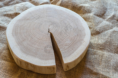 木林立木 横截片 砍木树干切片砧板木树年龄切菜板裂缝拉丝年轮圆片横截面橡木背景图片