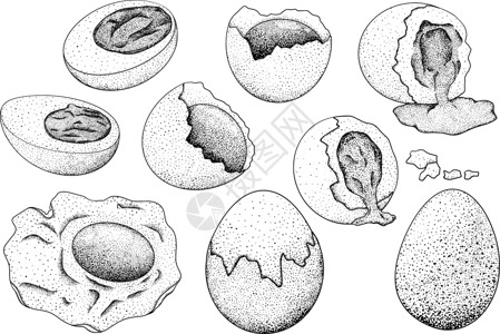 小米椒炒鸡蛋手绘矢量鸡蛋 炒蛋 煎蛋卷 农场鸡蛋 绘图成分 质朴的矢量图营养卡片油炸涂鸦饮食装饰烹饪打印艺术菜单插画