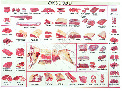 牛肉海报肉市场猪肉食物打印围裙传奇肋骨白色寓言价格背景