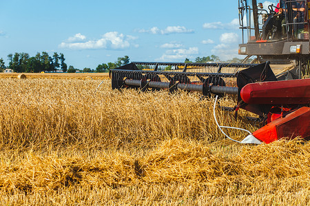国家才有力量结合收割小麦的紧闭场地粮食生产机器玉米农场食物草地耳朵机械背景