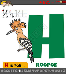 动物援助字母H H 用卡通小鸟环球鸟的字母表设计图片