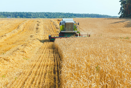 拖拉机收割合并收割器工作场地收割机面包粮食农田农场收获种子国家背景