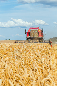 拖拉机收割收获成熟小麦的合并收割者种子农村农田机械稻草农场农业面包草地植物背景