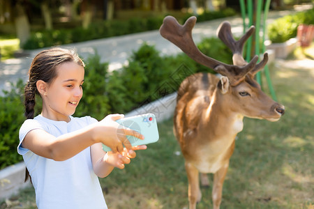 小女孩和鹿孩子在动物园喂野鹿 孩子们在户外喂养动物 小女孩在农场看驯鹿 孩子和宠物动物 家庭夏季动物园之旅 成群的鹿树木男生女孩食物森林哺背景